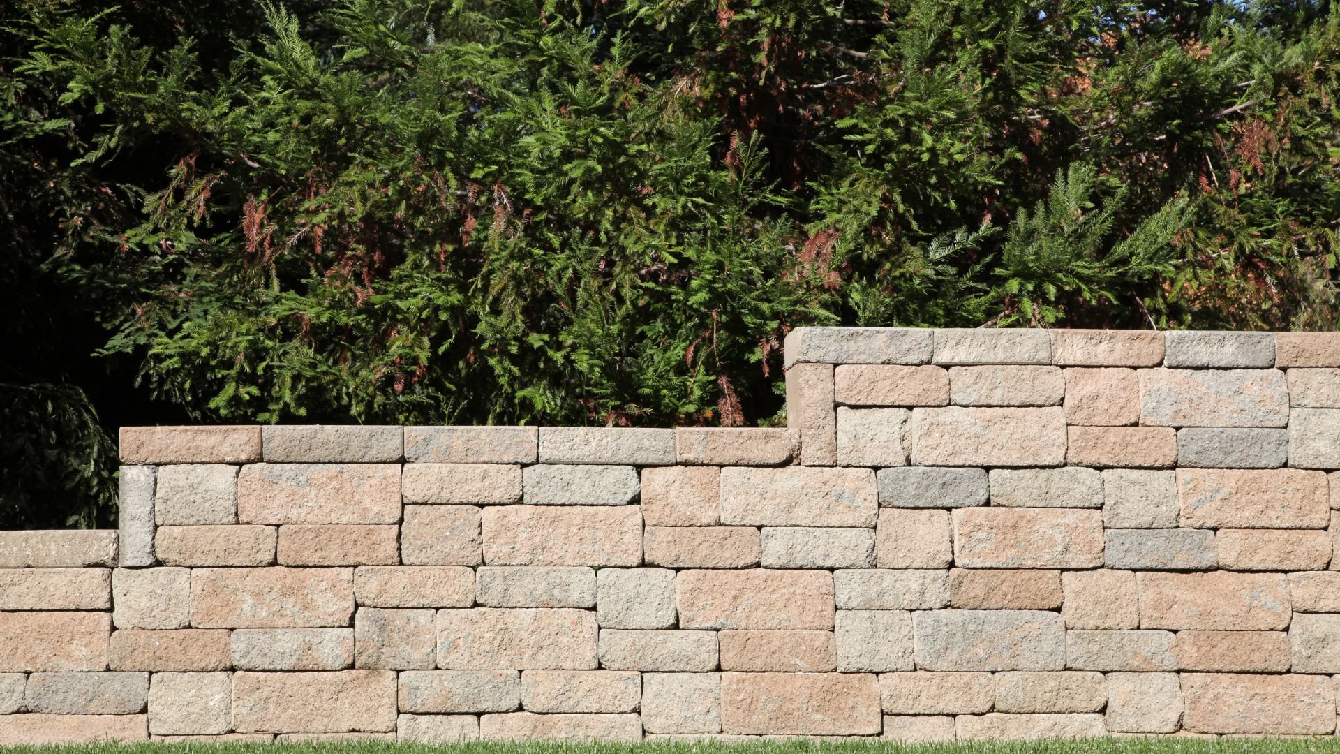 Stone retaining wall with evergreen trees in background